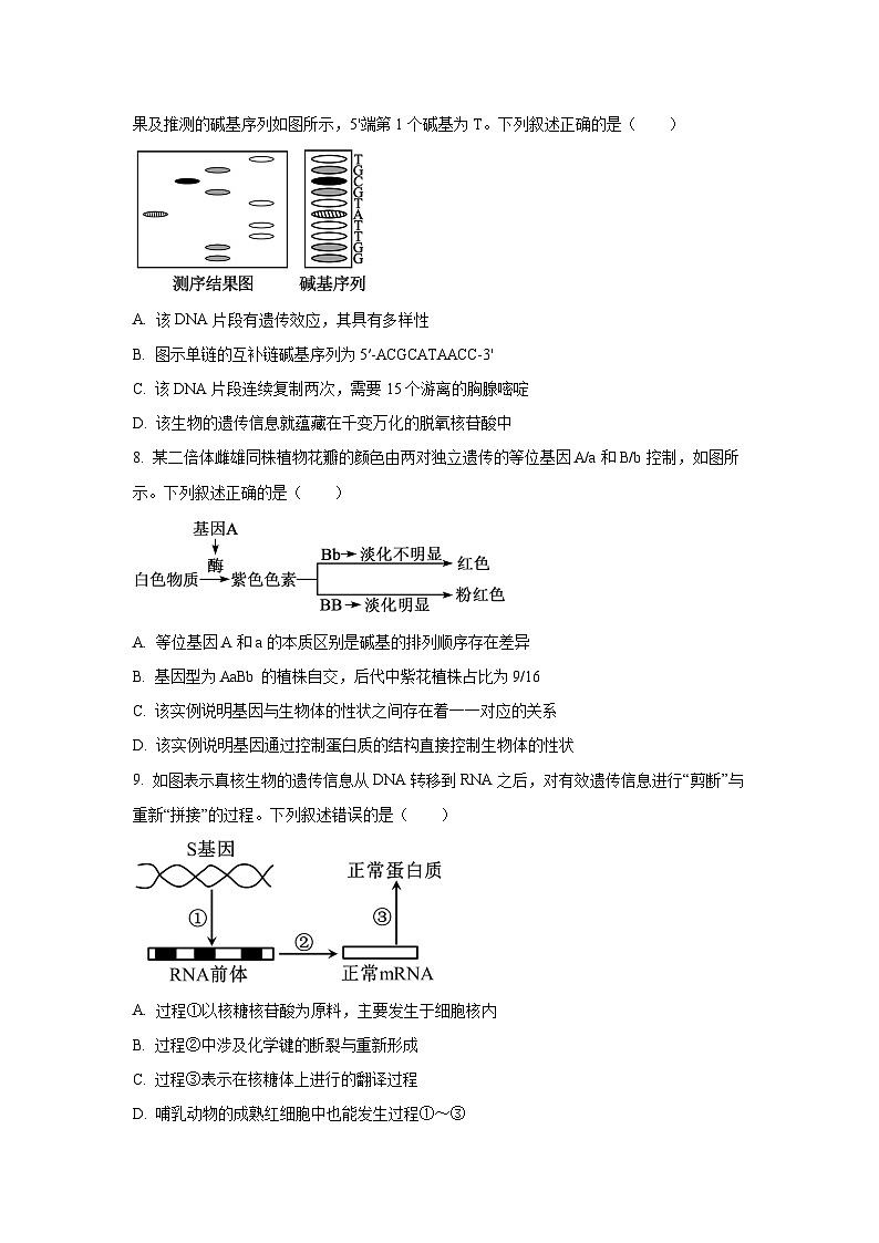 河南省南阳市新未来联考2024-2025学年高一下学期6月期末生物试卷（学生版）第3页