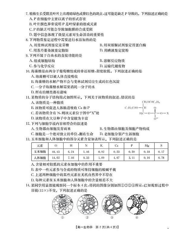 陕西省部分学校2025-2026学年高一上学期9月联考生物试题（月考）第2页