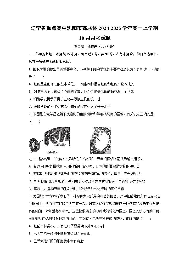 辽宁省重点高中沈阳市郊联体2024-2025学年高一上学期10月月考生物试卷（学生版）第1页