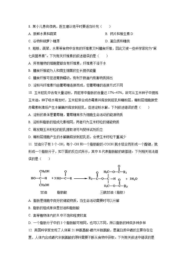 辽宁省重点高中沈阳市郊联体2024-2025学年高一上学期10月月考生物试卷（学生版）第3页