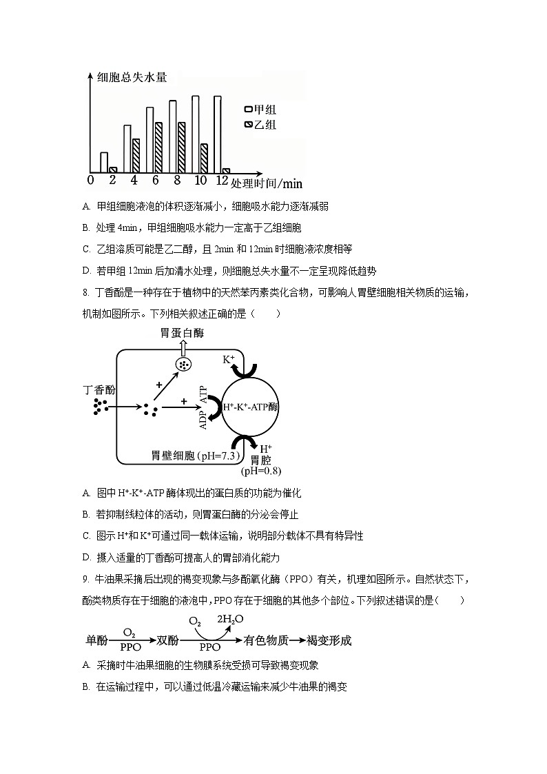 山东省百校大联考2025-2026学年高三上学期10月月考生物试卷（学生版）第3页