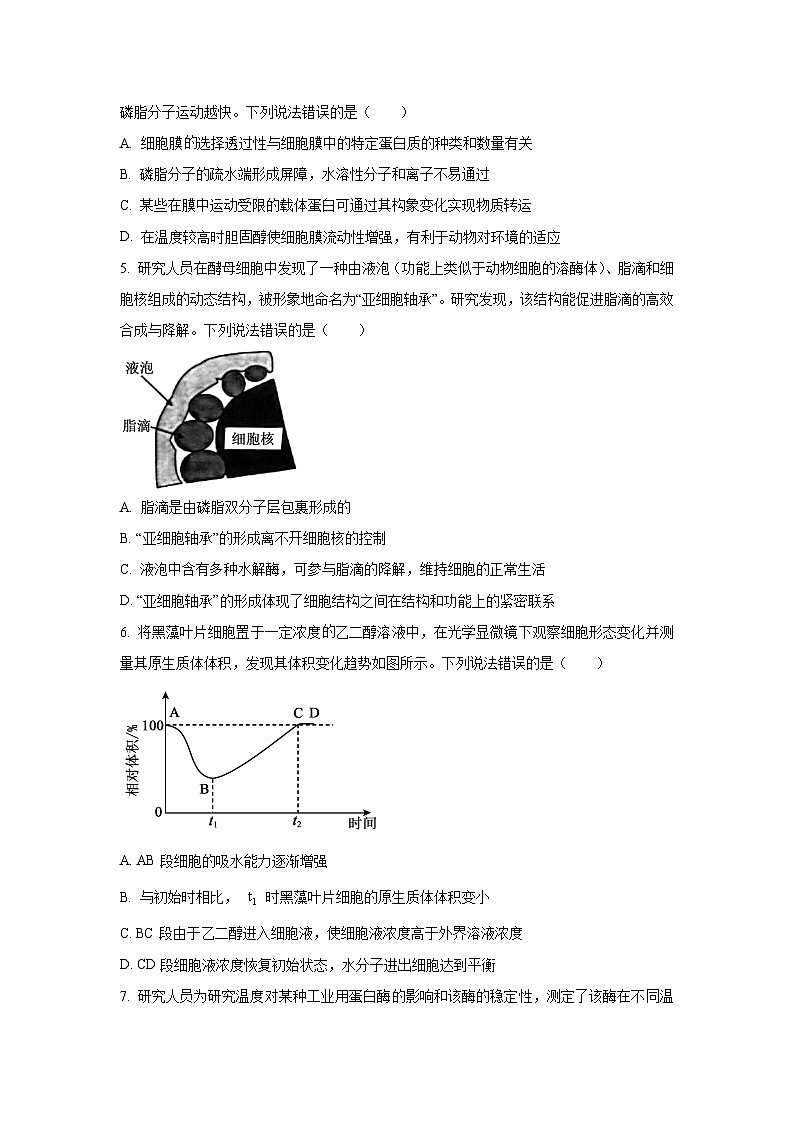 山东省部分学校2025-2026学年高三上学期10月大联考生物试卷（学生版）第2页
