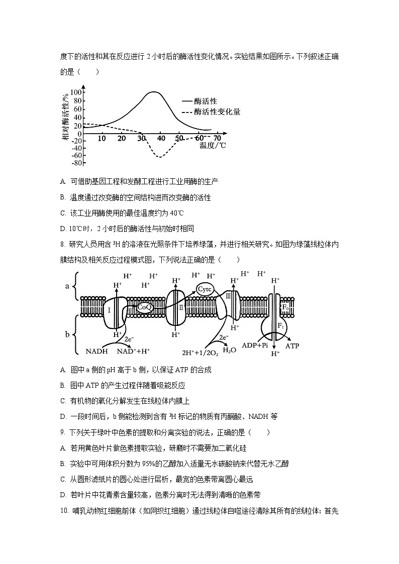 山东省部分学校2025-2026学年高三上学期10月大联考生物试卷（学生版）第3页