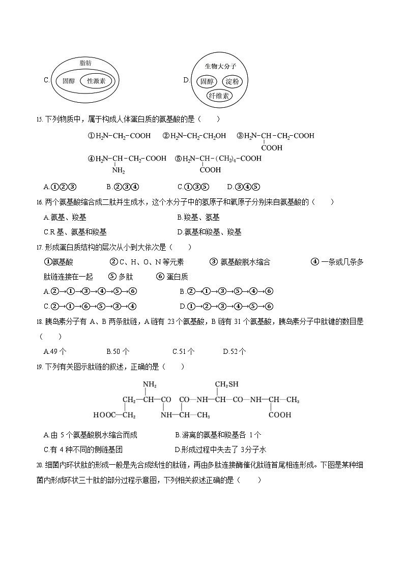 江苏省盐城市五校联考2025-2026学年高一上学期10月考试 生物试卷第3页