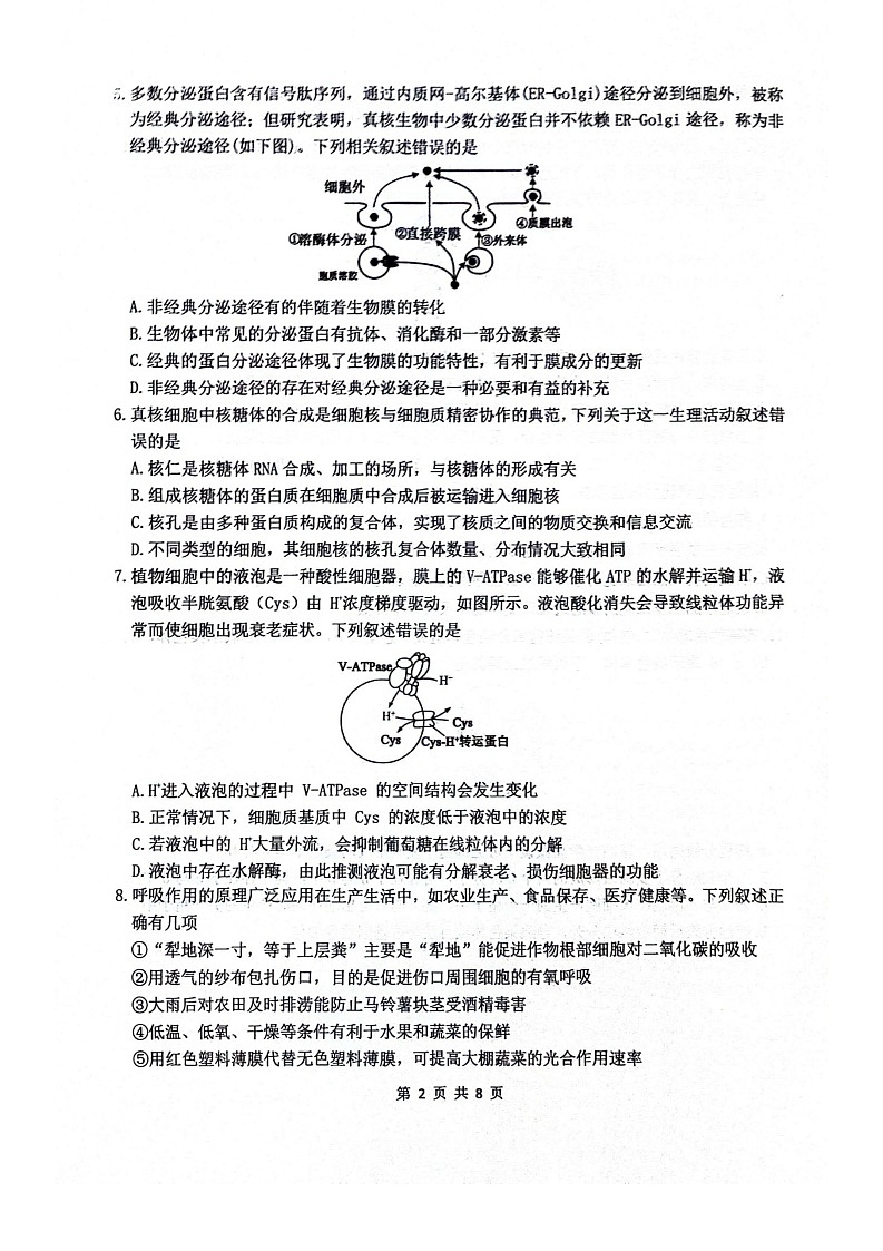 四川省绵阳南山中学2025-2026学年高三上学期10月月考生物试卷第2页
