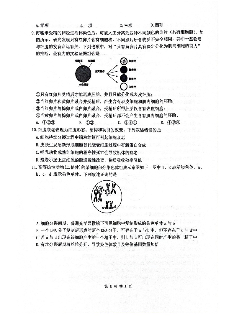 四川省绵阳南山中学2025-2026学年高三上学期10月月考生物试卷第3页