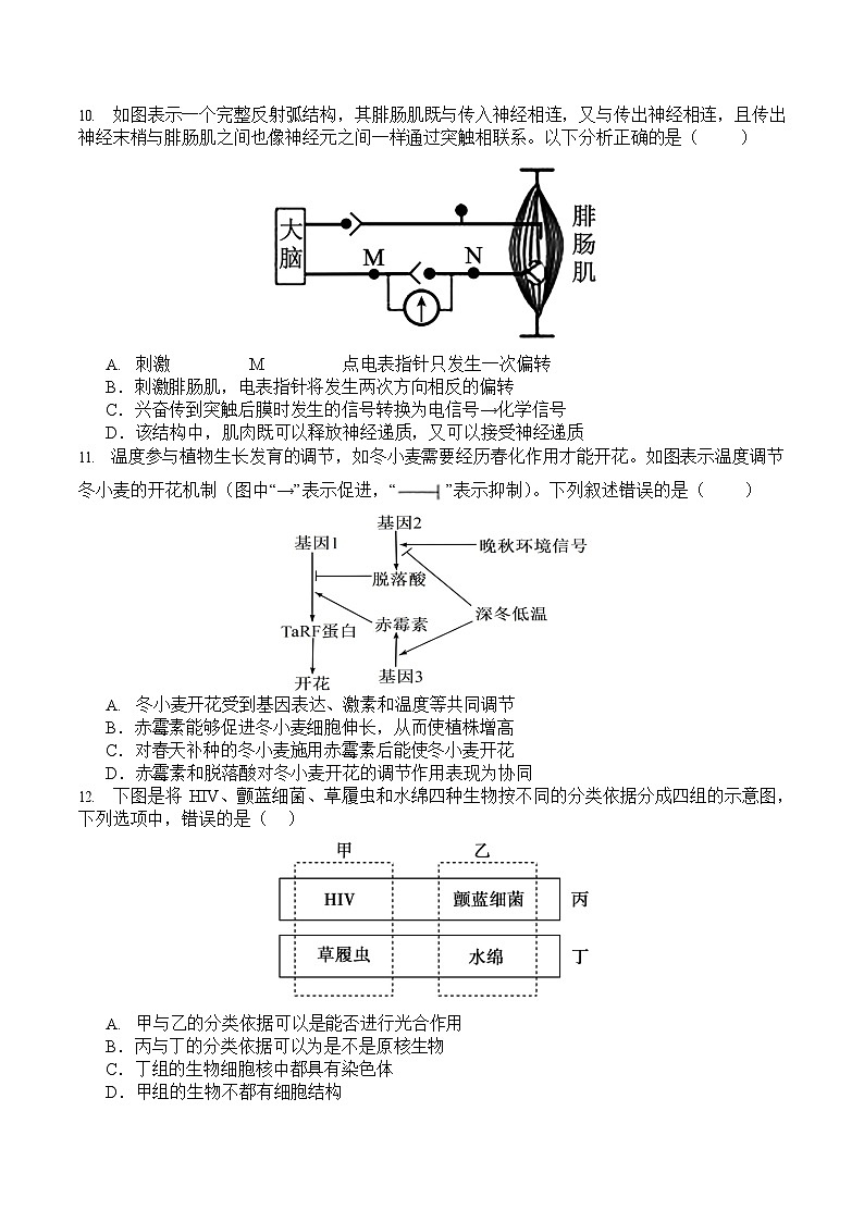 四川省字节精准教育联盟2026届高三上学期高考一模考试生物试卷第3页