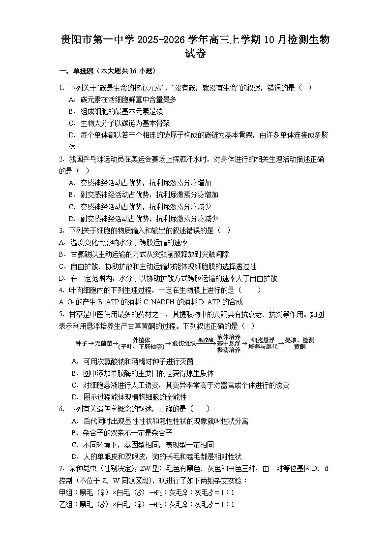 贵阳市第一中学2025-2026学年高三上学期10月检测生物试卷第1页