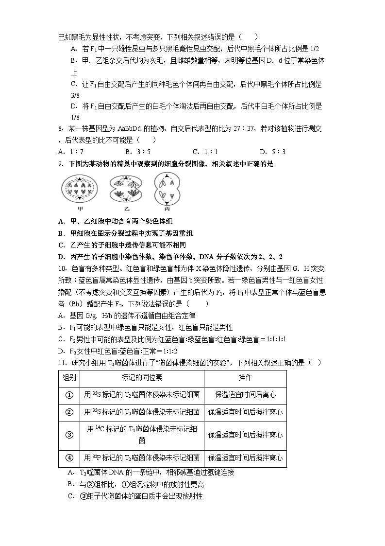 贵阳市第一中学2025-2026学年高三上学期10月检测生物试卷第2页