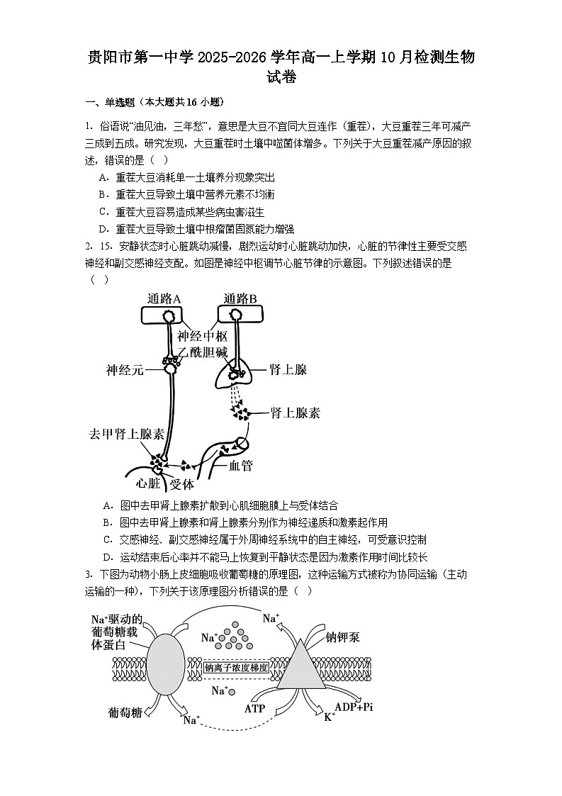贵阳市第一中学2025-2026学年高一上学期10月检测生物试卷第1页