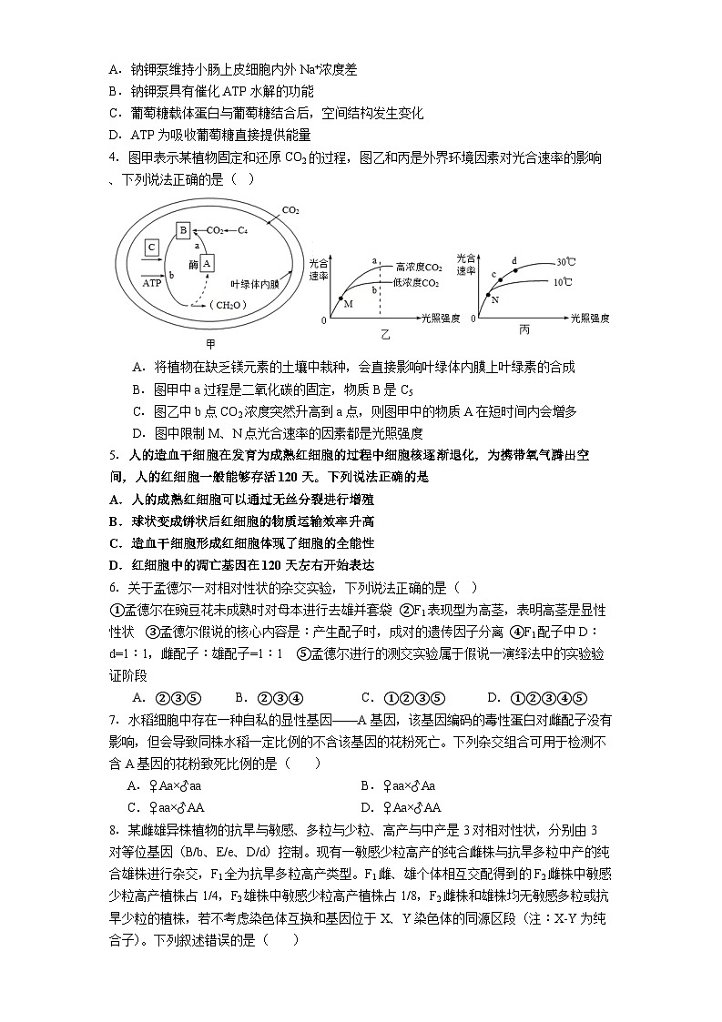 贵阳市第一中学2025-2026学年高一上学期10月检测生物试卷第2页