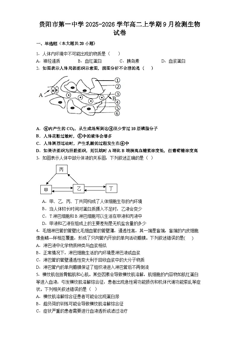 贵阳市第一中学2025-2026学年高二上学期9月检测生物试卷第1页