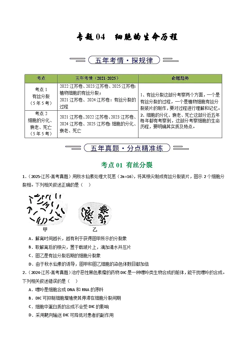 备战2026年高考近五年(2021-2025)高考生物真题分类汇编(江苏专用)专题04细胞的生命历程(学生版+解析)第1页