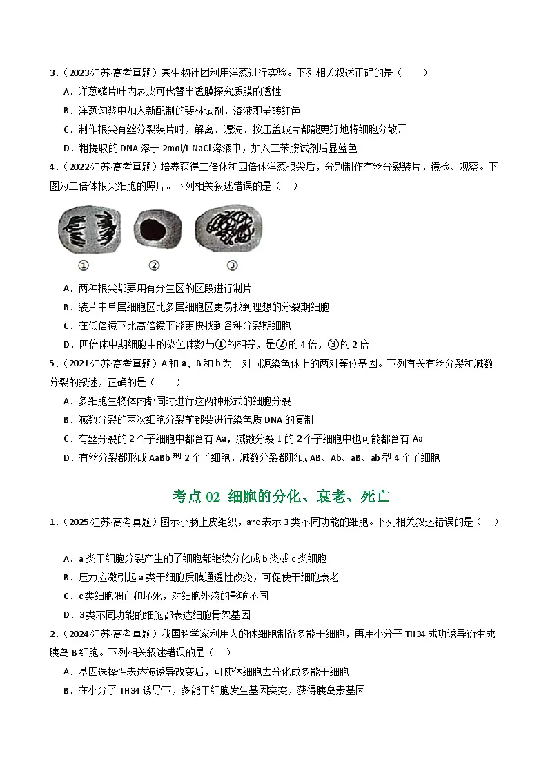 备战2026年高考近五年(2021-2025)高考生物真题分类汇编(江苏专用)专题04细胞的生命历程(学生版+解析)第2页