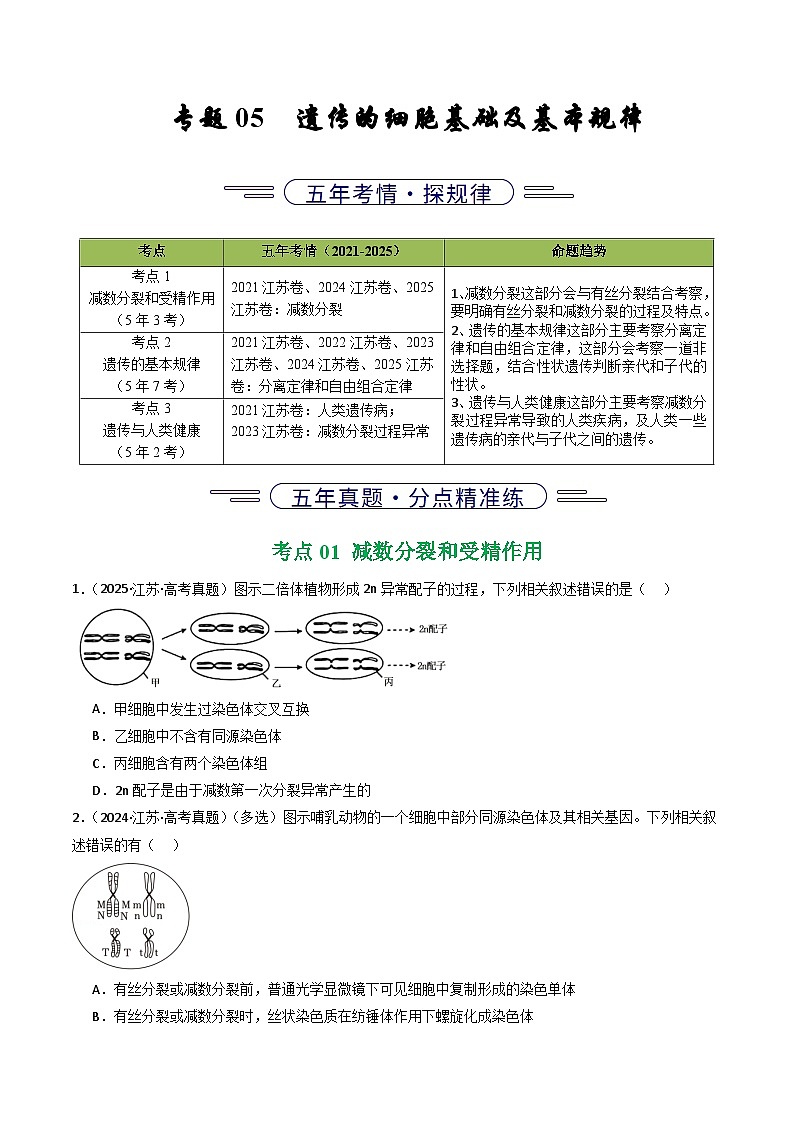 备战2026年高考近五年(2021-2025)高考生物真题分类汇编(江苏专用)专题05遗传的细胞基础及基本规律(学生版+解析)第1页