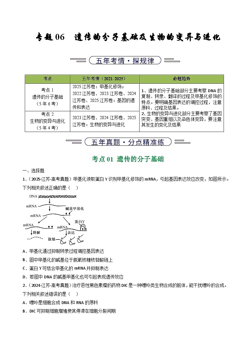 备战2026年高考近五年(2021-2025)高考生物真题分类汇编(江苏专用)专题06遗传的分子基础及生物的变异与进化(学生版+解析)第1页