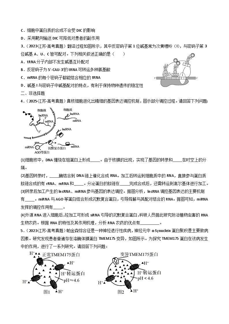 备战2026年高考近五年(2021-2025)高考生物真题分类汇编(江苏专用)专题06遗传的分子基础及生物的变异与进化(学生版+解析)第2页