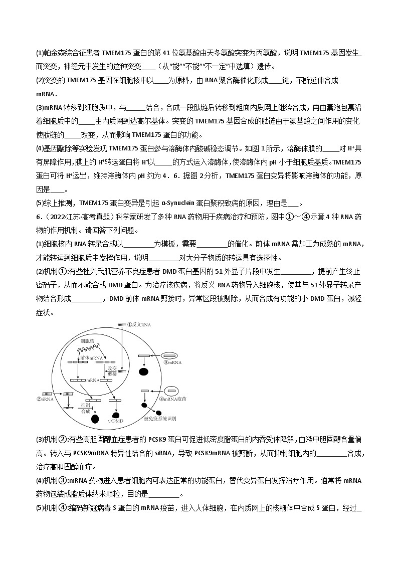 备战2026年高考近五年(2021-2025)高考生物真题分类汇编(江苏专用)专题06遗传的分子基础及生物的变异与进化(学生版+解析)第3页
