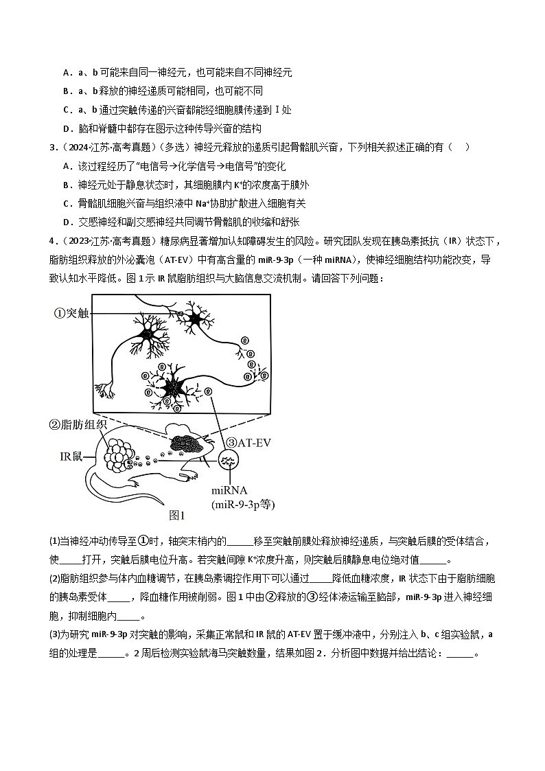 备战2026年高考近五年(2021-2025)高考生物真题分类汇编(江苏专用)专题07神经、体液调节(学生版+解析)第2页