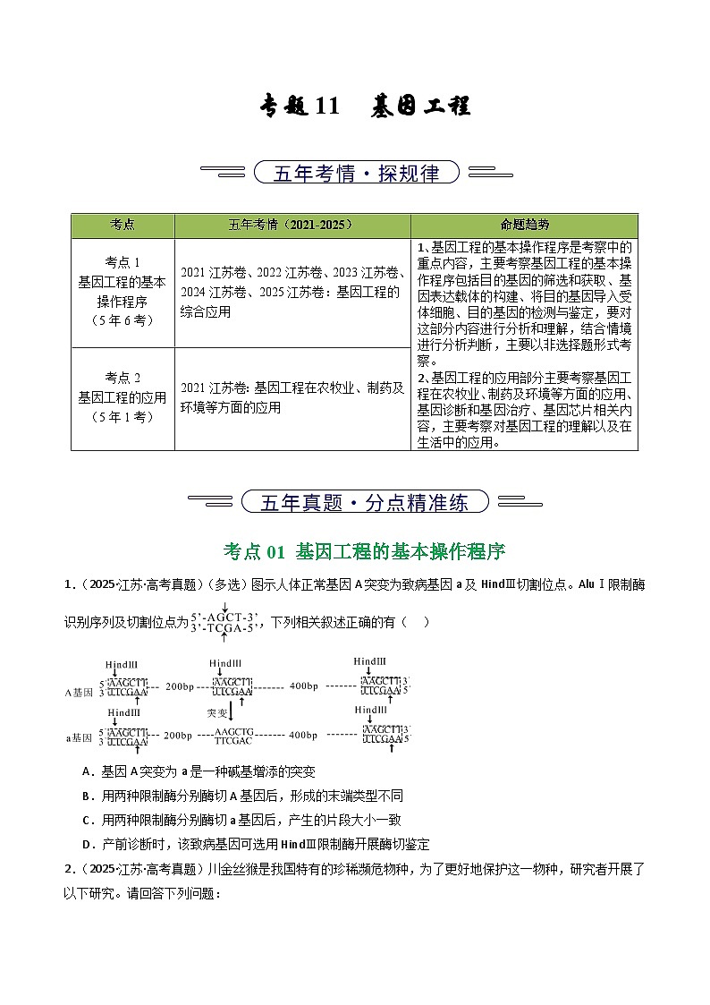 备战2026年高考近五年(2021-2025)高考生物真题分类汇编(江苏专用)专题11基因工程(学生版+解析)第1页