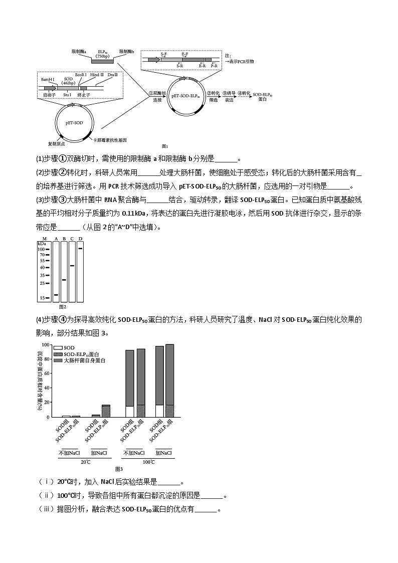 备战2026年高考近五年(2021-2025)高考生物真题分类汇编(江苏专用)专题11基因工程(学生版+解析)第3页