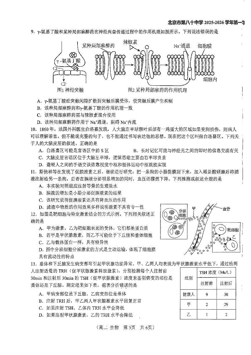 2025北京八十中高二上10月月考生物试卷   有答案第3页