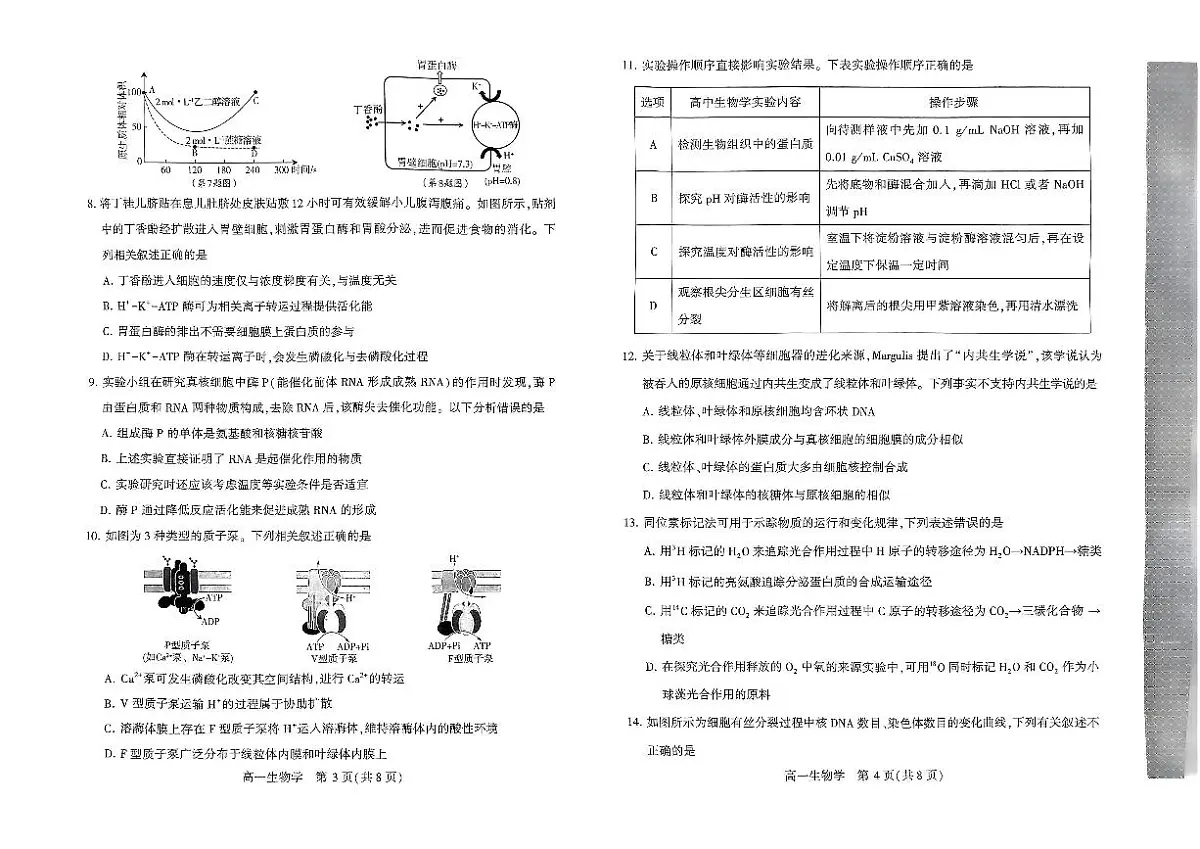 河南省许昌市2024-2025学年高一上学期1月期末考试试题生物试卷第2页