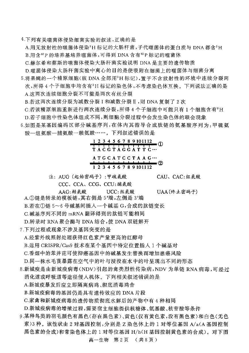 河南省驻马店市2024~2025学年度高一第二学期期末质量监测生物试卷+答案第2页