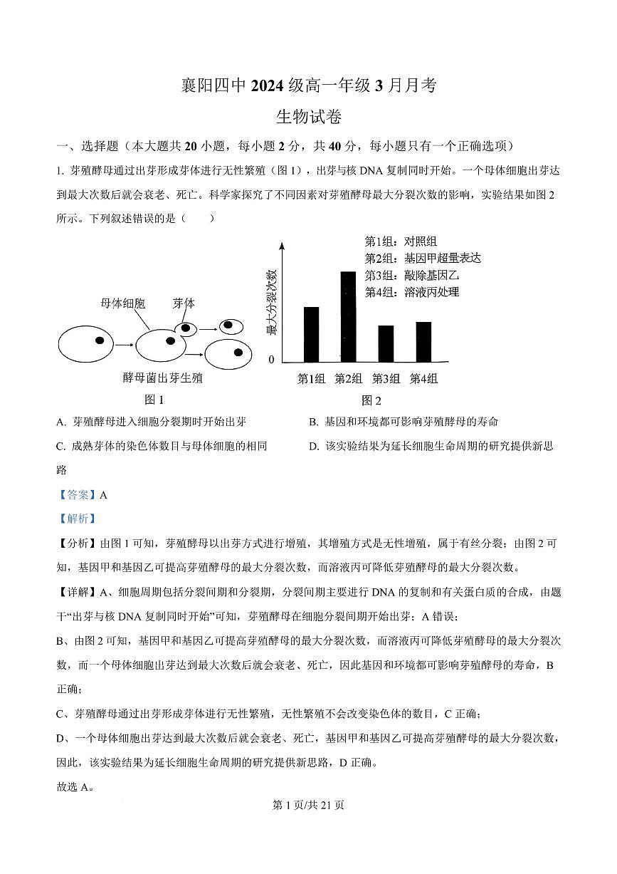 湖北省襄阳市第四中学2024—2025学年高一下学期3月考试生物试题+答案第1页