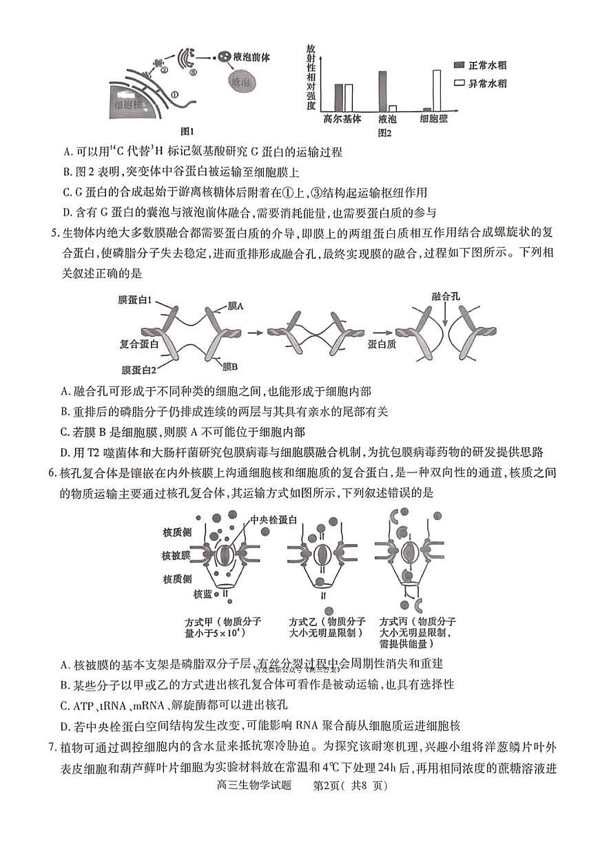2025年信阳高三上学期10月生物试题无答案第2页