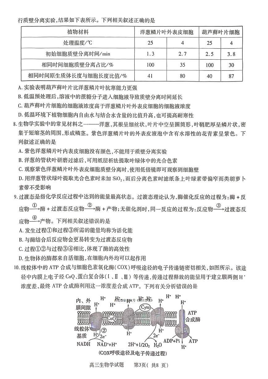2025年信阳高三上学期10月生物试题无答案第3页