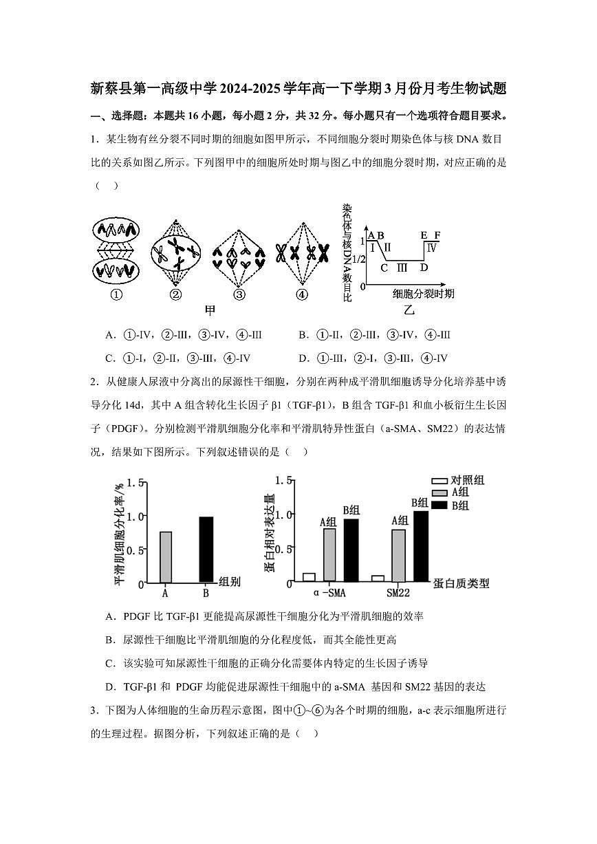 河南省驻马店市新蔡县第一高级中学2024-2025学年高一下学期3月月考生物学试题（含答案）第1页
