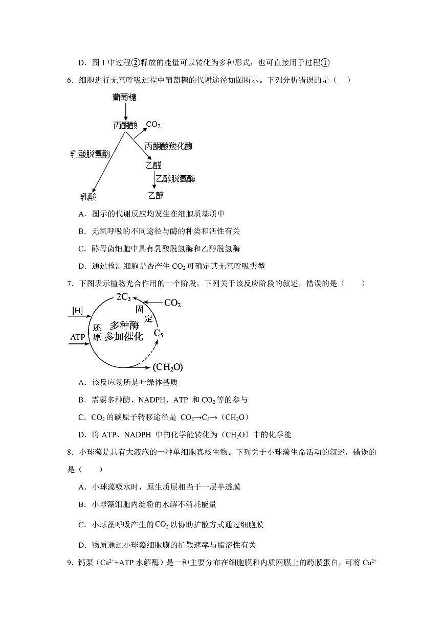 河南省驻马店市新蔡县第一高级中学2024-2025学年高一下学期3月月考生物学试题（含答案）第3页