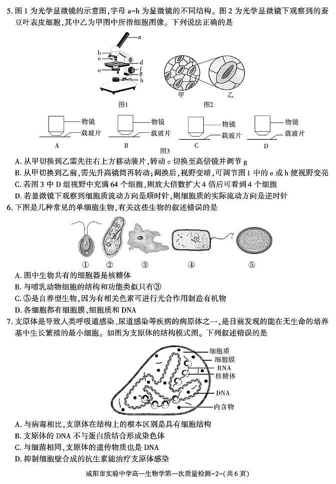 陕西省咸阳市实验中学2025-2026学年高一上学期第一次质量检测生物试卷（月考）第2页