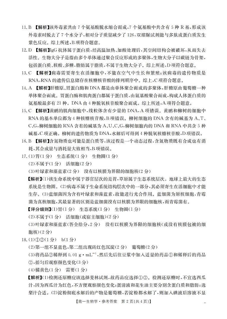 生物答案_扫描版第2页