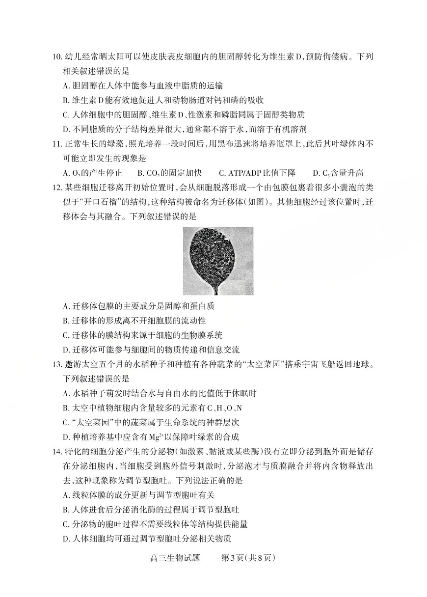 山西省三重教育2025-2026学年高三上学期10月检测生物试卷第3页