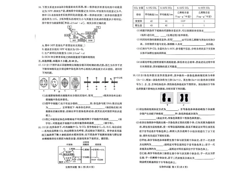 湖南名校联考联合体2026届高三上学期10月月考生物试题（含答案）第3页