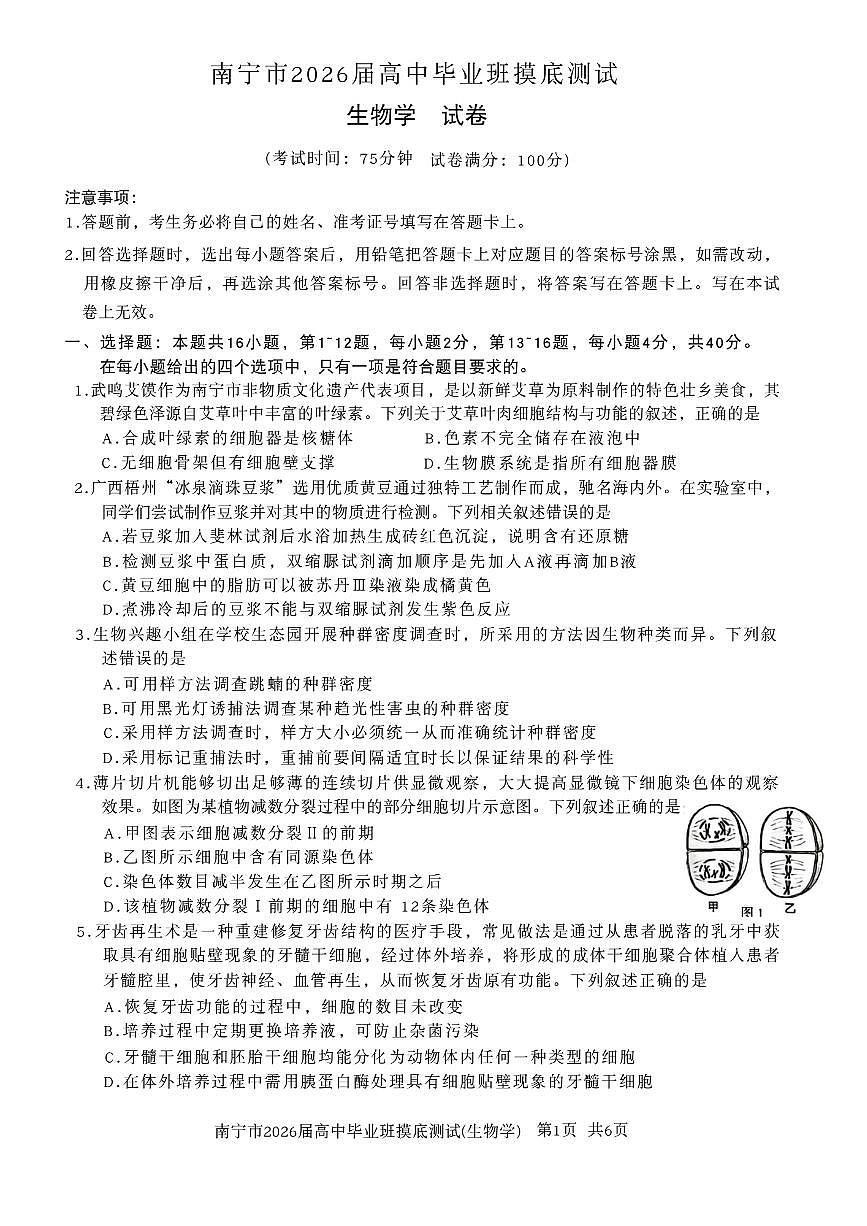 广西南宁市2026届高三上学期10月摸底测试 生物 PDF版含答案第1页