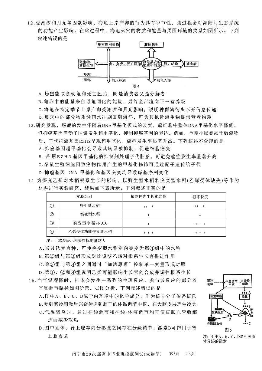 广西南宁市2026届高三上学期10月摸底测试 生物 PDF版含答案第3页