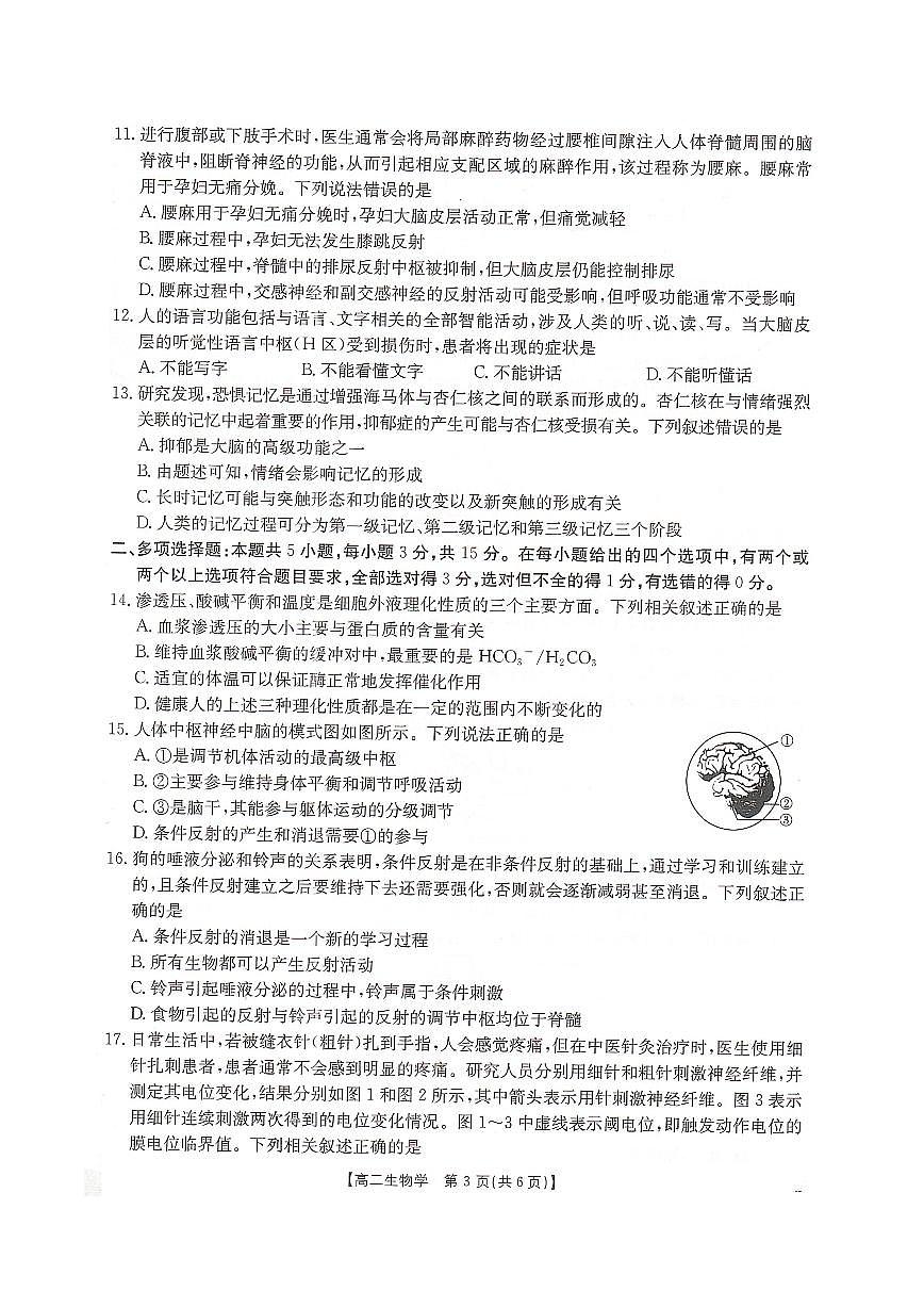 河北省邢台市卓越联盟2025-2026学年高二上学期10月第一次月考试题 生物 PDF版含解析第3页