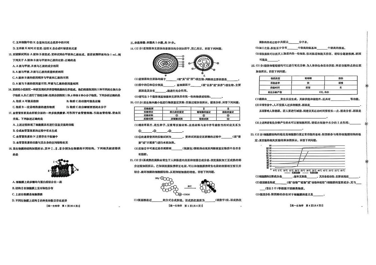 河北省邢台市卓越联盟2025-2026学年高一上学期10月第一次月考试题 生物 PDF版含解析第2页