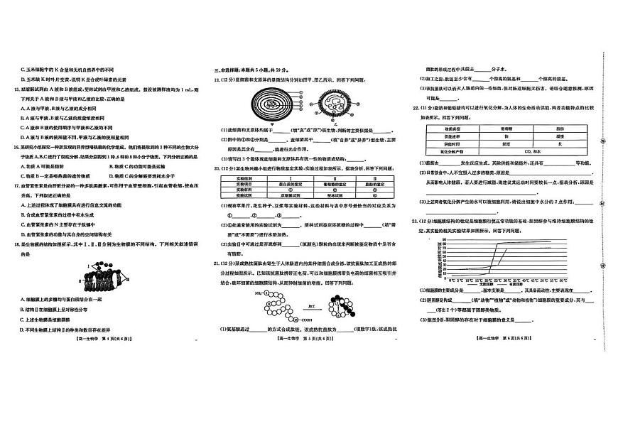 河北省邢台市卓越联盟2025-2026学年高一上学期10月第一次月考试题 生物 PDF版含解析第2页
