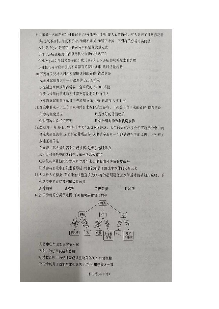 山东省临沂市临沭第一中学等校2025-2026学年高一上学期10月联考试题 生物 PDF版含解析第3页