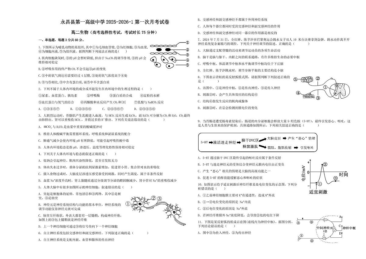 甘肃省金昌市永昌县第一高级中学2025—2026学年高二上学期第一次月考生物试卷第1页