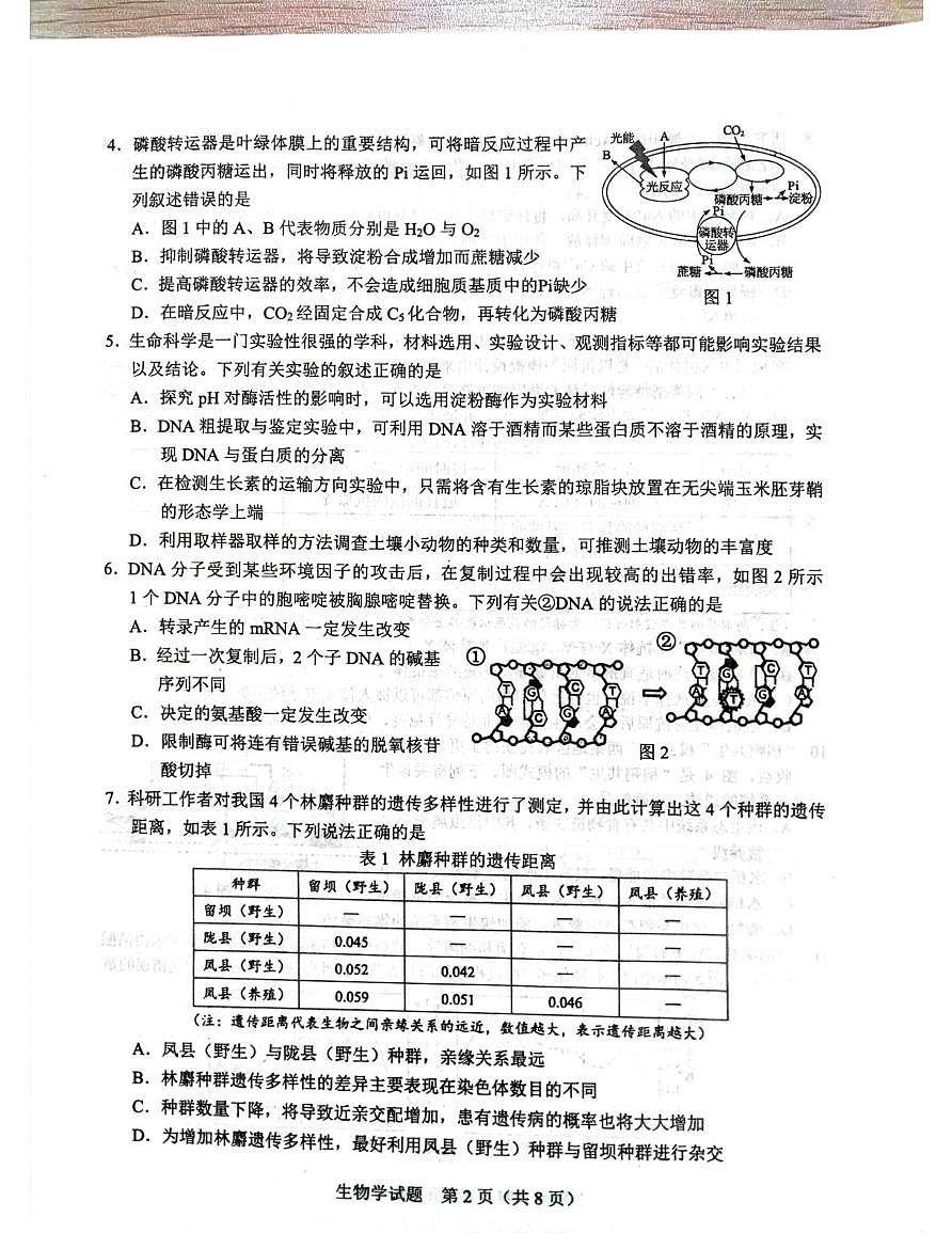 广西壮族自治区柳州市部分学校联考2025-2026学年高三上学期10月月考生物试题第2页