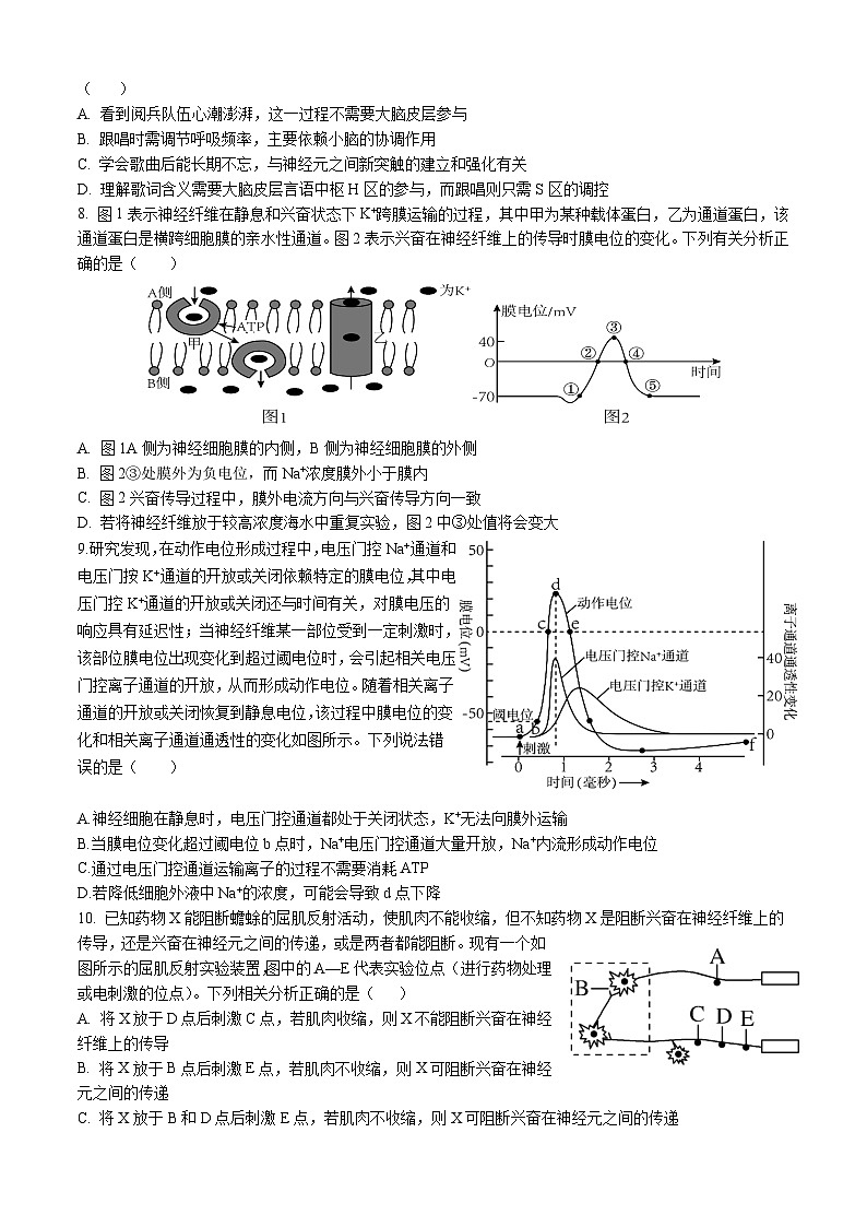 四川省内江市威远中学2025-2026学年高二上学期期中考试生物试题第2页