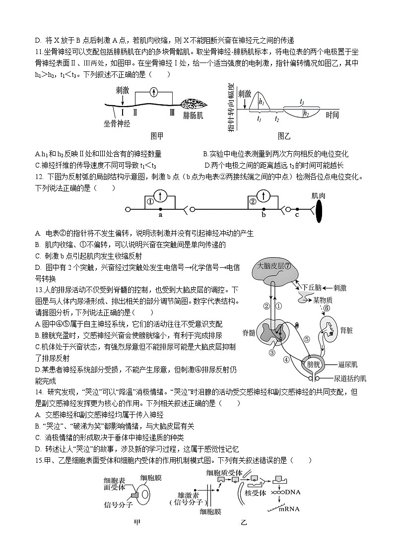 四川省内江市威远中学2025-2026学年高二上学期期中考试生物试题第3页