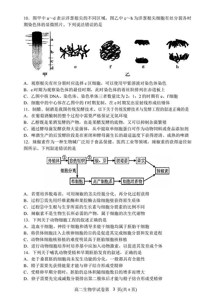 辽宁省丹东市2024-2025学年高二下学期期末教学质量监测生物试卷第3页