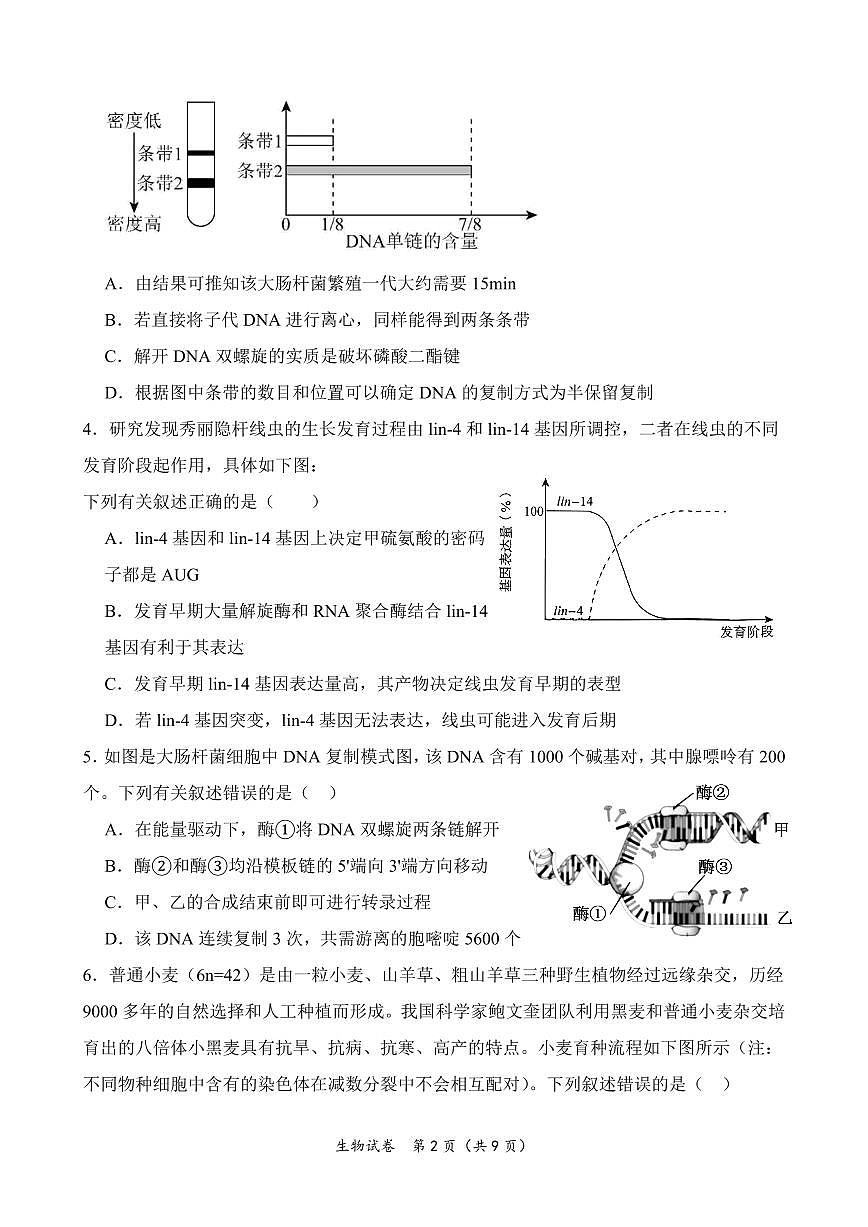 湖北省荆州中学2025-2026学年高二上学期9月双周练（月考）生物试题第2页