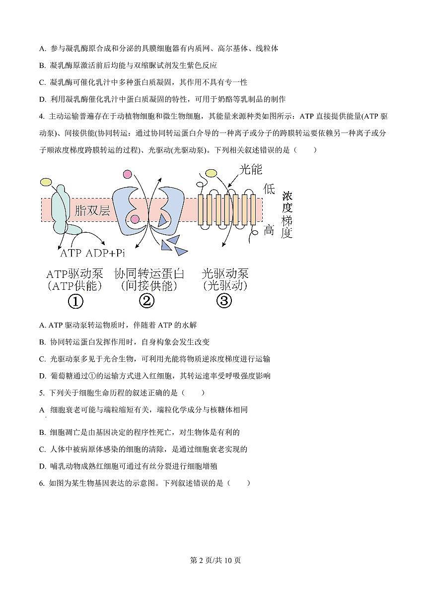 河南省青桐鸣2025-2026学年高二上学期9月大联考生物试题（原卷版）第2页